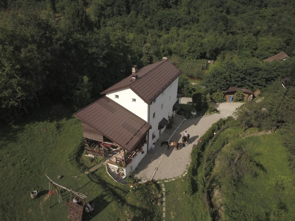 Casa Piscul Lupului Villa Pucioasa Dış mekan fotoğraf